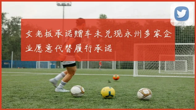 女老板承诺赠车未兑现永州多家企业愿意代替履行承诺