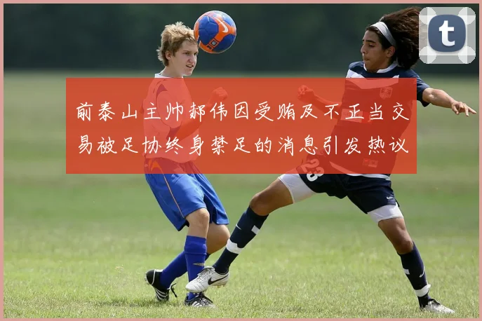 前泰山主帅郝伟因受贿及不正当交易被足协终身禁足的消息引发热议