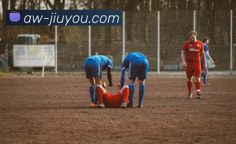 九游体育平台生态图